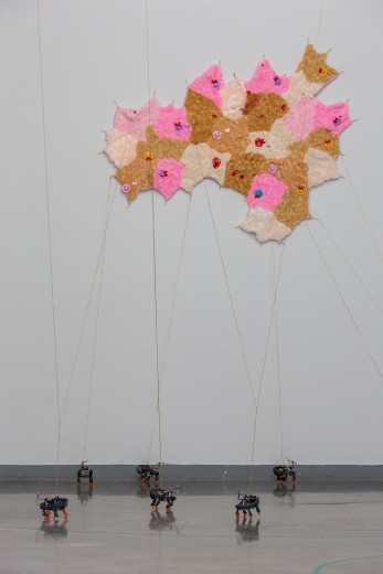 Anna Minxová, Planeta psů, foto, Zdeněk Sodoma