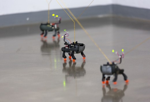 Anna Minxová, Planeta psů, foto, Zdeněk Sodoma